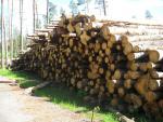 चीड़ पल्पवुड़ (विशेषतः कागज़ उत्पादन के लिए प्रयुक्त की जाने वाली लकड़ी) |  सॉफ़्टवुड़ (कॉनिफर - शंकुवृक्षों - से प्राप्त लकड़ी) | लट्ठे | Закупка ООО