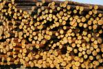 चीड़ पल्पवुड़ (विशेषतः कागज़ उत्पादन के लिए प्रयुक्त की जाने वाली लकड़ी) |  सॉफ़्टवुड़ (कॉनिफर - शंकुवृक्षों - से प्राप्त लकड़ी) | लट्ठे | Limited Liability Company 