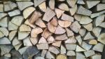 ईंधन की लकड़ी बीचवृक्ष |  ईंधन की लकड़ी, कोयले की ईंटें (ब्रिकेट) | Pillban dry board.s.r.o.