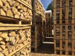 ईंधन की लकड़ी भोजवृक्ष |  ईंधन की लकड़ी, कोयले की ईंटें (ब्रिकेट) | Coni alnus