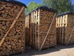 ईंधन की लकड़ी भोजवृक्ष |  ईंधन की लकड़ी, कोयले की ईंटें (ब्रिकेट) | Coni alnus