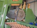 अन्य उपकरण Pásová Linka na pořez kulatiny |  सॉमिल (एक कारखाना जहाँ लट्ठों को तख्तों और फलकों में काटा जाता है) मशीनें | लकड़ी का काम करने की मशीनरी | Drekos Made s.r.o