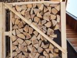 ईंधन की लकड़ी बीचवृक्ष |  ईंधन की लकड़ी, कोयले की ईंटें (ब्रिकेट) | 19th-Wood s.r.o.