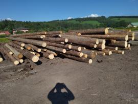 स्प्रूस सॉ लॉग (पेड़ का वह हिस्सा जिसे आराघर में भेजा जाता है) |  सॉफ़्टवुड़ (कॉनिफर - शंकुवृक्षों - से प्राप्त लकड़ी) | लट्ठे | Peter Haladej 