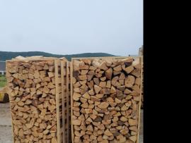 ईंधन की लकड़ी बीचवृक्ष |  ईंधन की लकड़ी, कोयले की ईंटें (ब्रिकेट) | Masssa s.r.o
