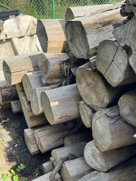 सागवान सॉ लॉग (पेड़ का वह हिस्सा जिसे आराघर में भेजा जाता है) |  ऊष्णदेशीय लकड़ी | लट्ठे | SOFT IT SP .ZO.O SPÓŁKA Z OGRANICZONĄ ODPO