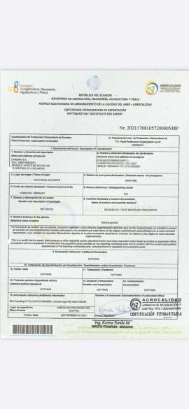 सागवान सॉ लॉग (पेड़ का वह हिस्सा जिसे आराघर में भेजा जाता है) |  ऊष्णदेशीय लकड़ी | लट्ठे | SOFT IT SP .ZO.O SPÓŁKA Z OGRANICZONĄ ODPO