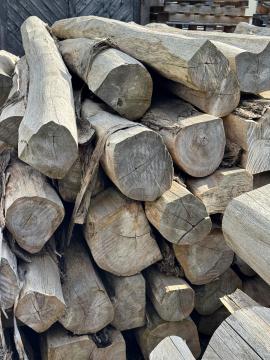 सागवान सॉ लॉग (पेड़ का वह हिस्सा जिसे आराघर में भेजा जाता है) |  ऊष्णदेशीय लकड़ी | लट्ठे | SOFT IT SP .ZO.O SPÓŁKA Z OGRANICZONĄ ODPO