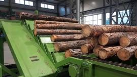 अन्य उपकरण Kompletn výroní Linka kulů . |  सॉमिल (एक कारखाना जहाँ लट्ठों को तख्तों और फलकों में काटा जाता है) मशीनें | लकड़ी का काम करने की मशीनरी | Drekos Made s.r.o